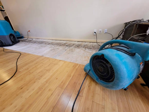 Professional Ceiling Water Damage Repair technician working in Bradgate, IA